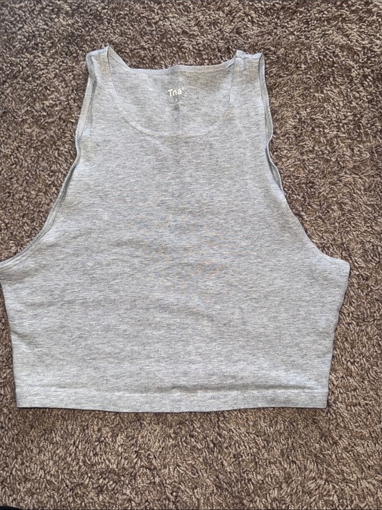 TNA Tops - TNA Aritzia Grey Ribbed Cropped Tank
